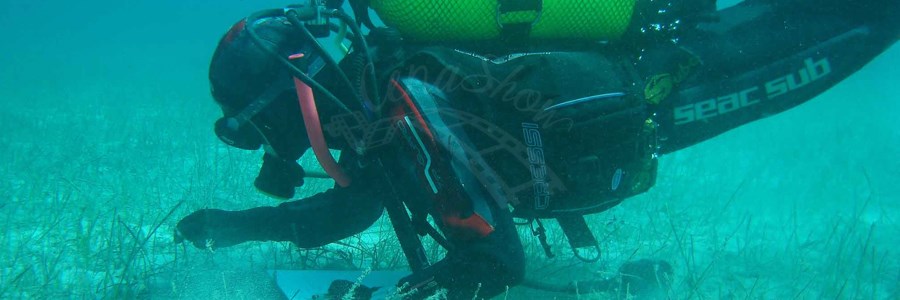 Submarinismo despedidas de Soltero Submarinismo despedidas de Soltero